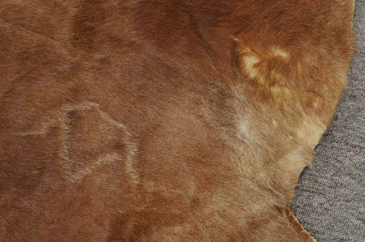 230x200cm カウ ラグ 牛革 本革 毛皮 カウハイド 天然素材 マット