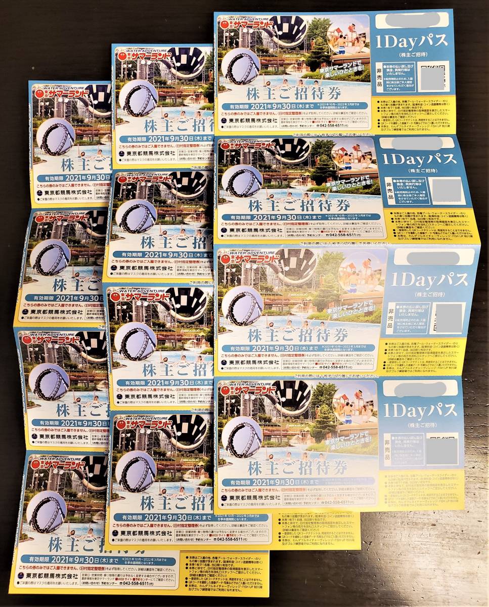 レターPライト無料】(未使用) 東京都競馬 株主ご招待券(株主優待) 東京