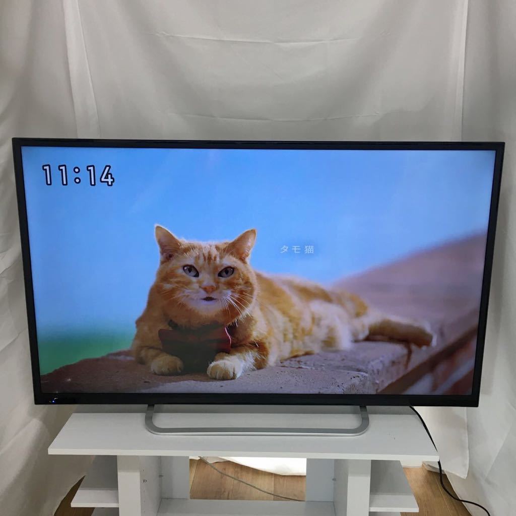 #家C T23/ 美品! エスケイジャパン 55V型 4K対応液晶テレビ SQ-Y55H4K302 2018年製 リモコン mini B-CASカード付