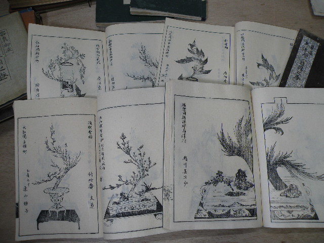 38 生花 華道 関連 まとめて / 戦前 和本 古書 生け花 池坊 未生流 絵