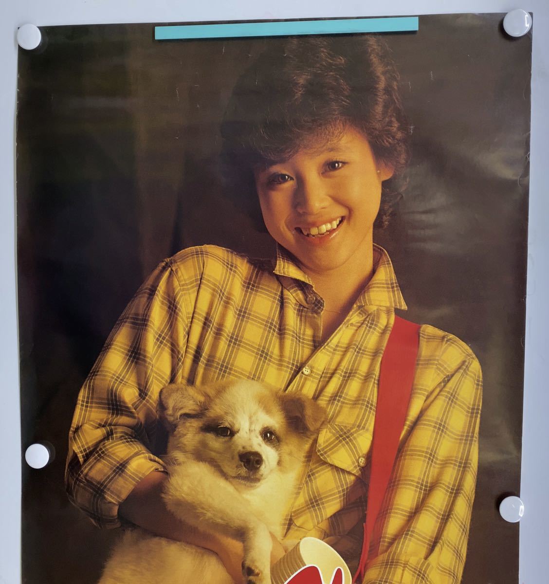 松田聖子 等身大ポスター 「金色のリボン」 サイズ約166×59cm CBS