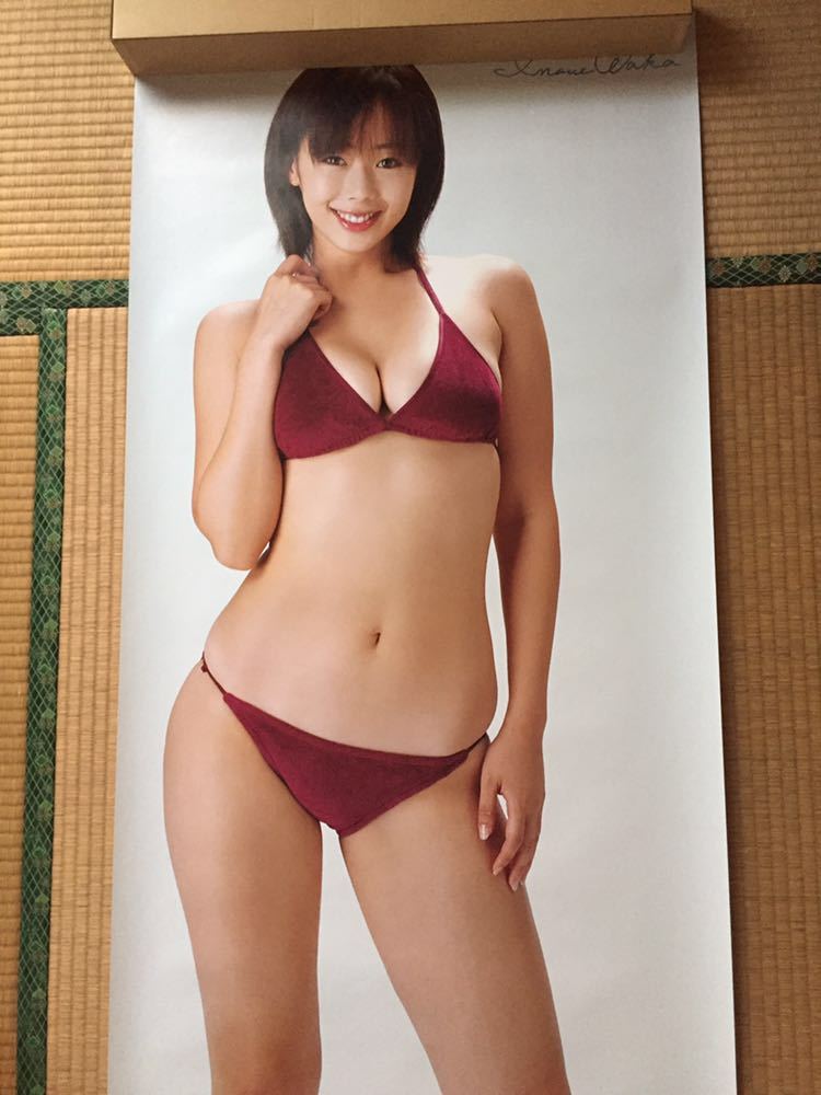 井上和香 等身大ポスター(？）特大ポスター プレイボーイ応募者全員サービス3枚組 井上和香 等身大ポスター 週刊プレイボーイ応募者全員サービス