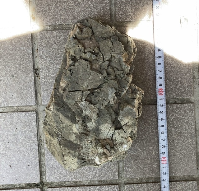アクアリウム 万天石 ADA レイアウト水槽 【公式通販】