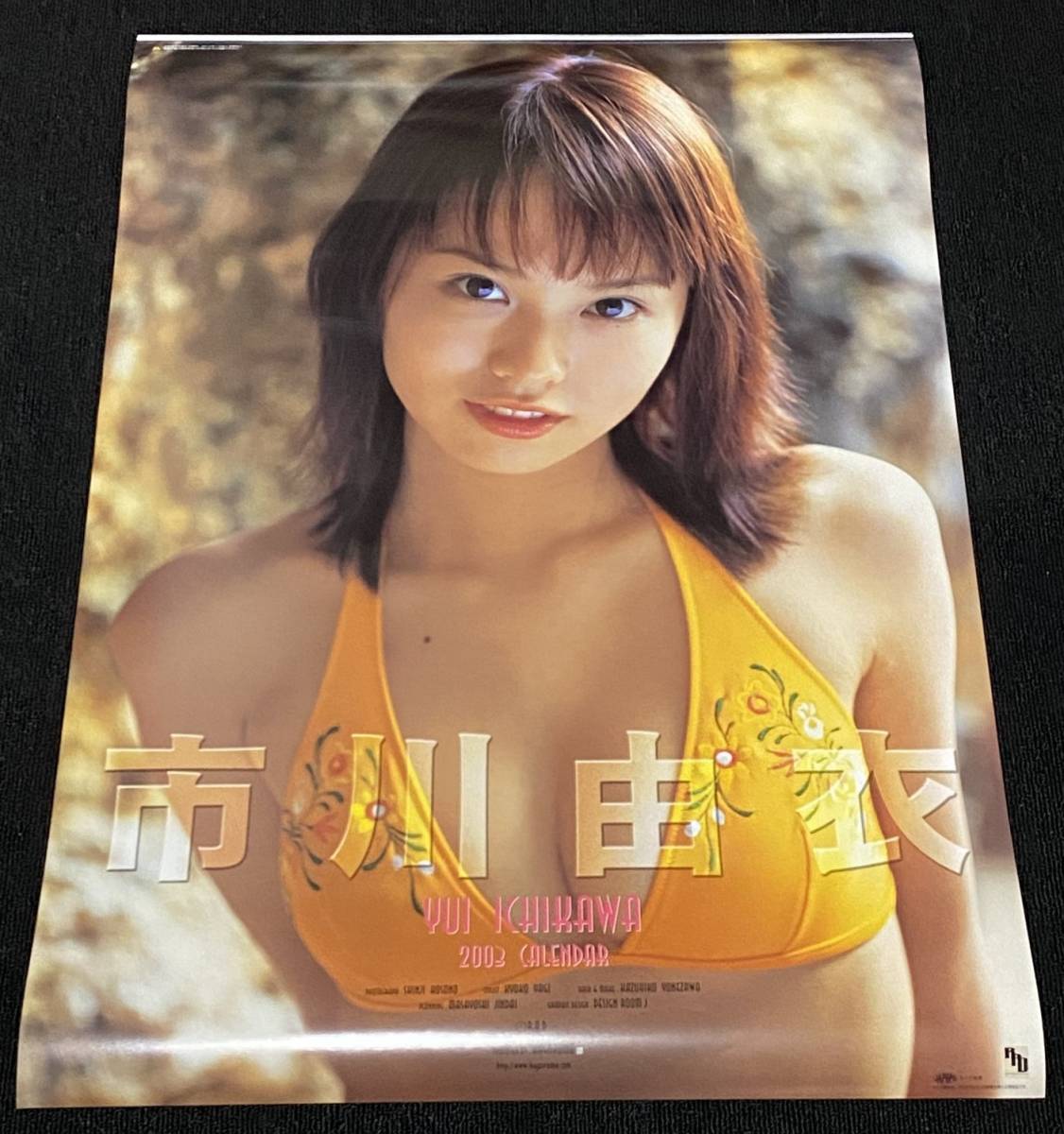 市川由衣 2004年 B2カレンダー 1面白ビキニ