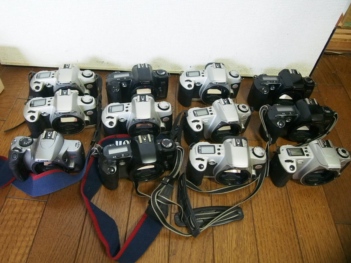 HOT，セール B999 良品 キヤノン EOS Kissシリーズ 12台(キヤノン)｜売買されたオークション情報、yahooの商品情報をアーカイブ公開 - オークファン オートフォーカス