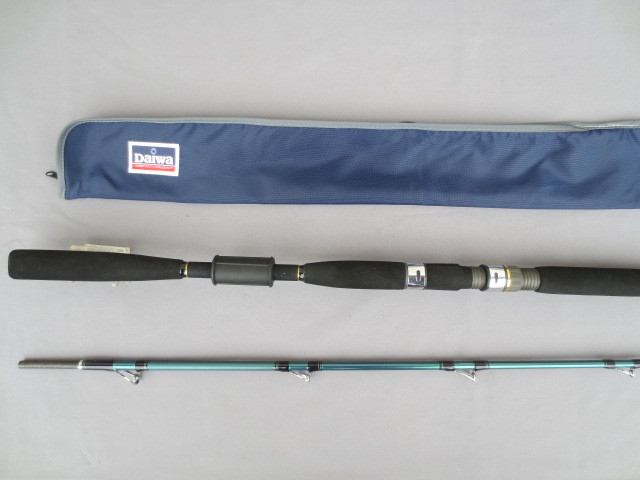 超美品！ダイワ 青龍竿　セイリュウカン　３００Ⅲ