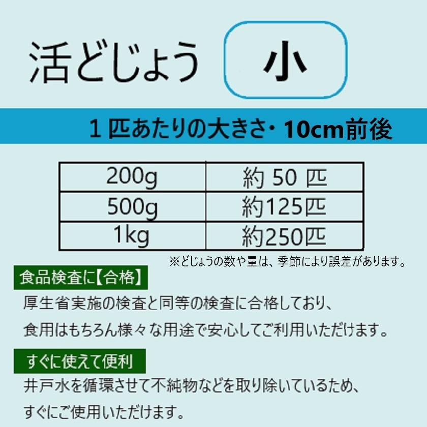 活どじょう 小1kg 約10cm 平均250匹 泥鰌 食用 活き餌 釣り餌 生餌 熱帯魚 古代魚のエサにはドジョウ えさ 川魚 淡水魚 どじょう 売買されたオークション情報 Yahooの商品情報をアーカイブ公開 オークファン Aucfan Com