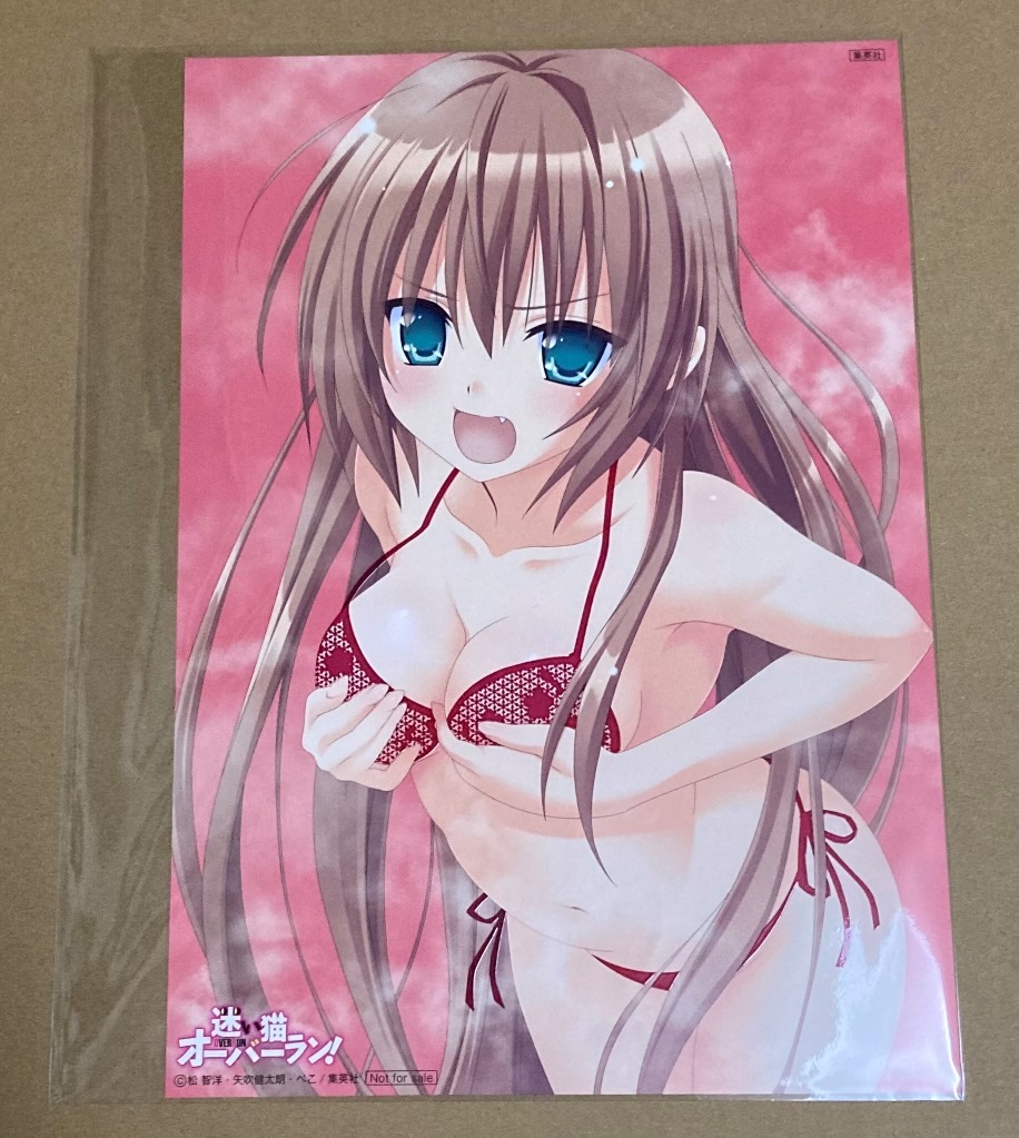 迷い猫オーバーラン お風呂ポスター 芹沢文乃 矢吹健太郎 コミック アニメグッズ 売買されたオークション情報 Yahooの商品情報をアーカイブ公開 オークファン Aucfan Com