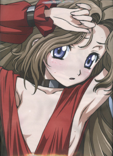 コードギアス ナナリー抱き枕カバー 木村貴宏 正規品 コミック アニメグッズ 売買されたオークション情報 Yahooの商品情報をアーカイブ公開 オークファン Aucfan Com