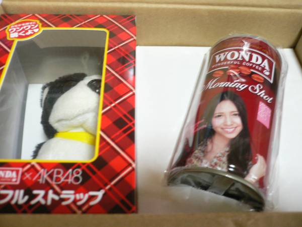 ワンダ　ワンダフルルーレット　AKB48 河西智美　当選品_1