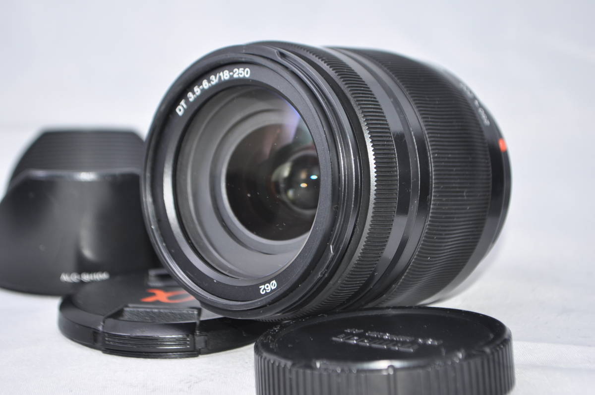 ★実用美品★ソニー SONY DT 18-250mm F3.5-6.3 SAL18250 #210733