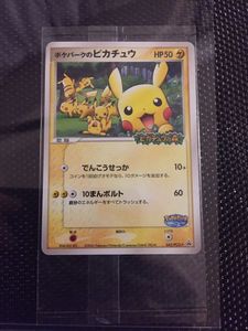 限定セール ポケモンカード ポケパーク05年 ブルーシート カードセット カード Www Purepowder Com