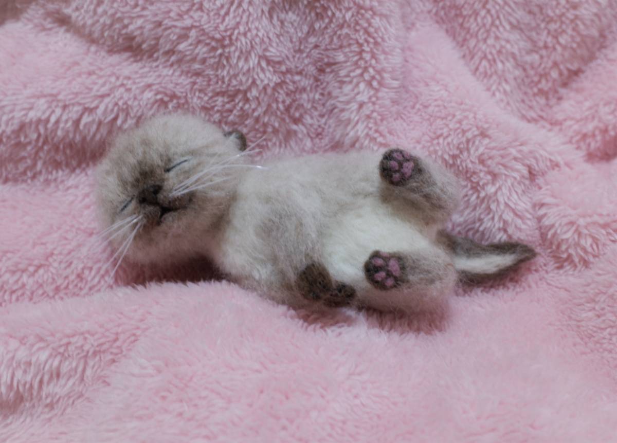 羊毛フェルト 赤ちゃん猫 猫 funwari□□□ マヌルネコ おすわり