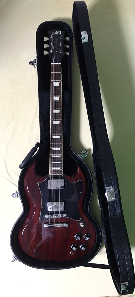 Burny SG ハードケース付き