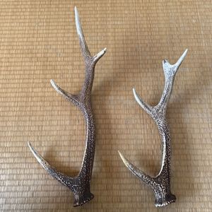 エゾシカ 角のヤフオク の相場 価格を見る ヤフオク のエゾシカ 角のオークション売買情報は130件が掲載されています
