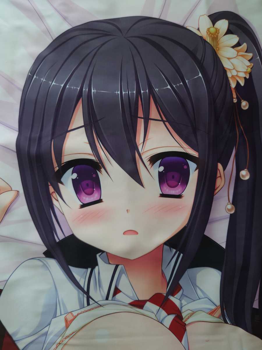 正規品 Saga Planets 花咲ワークススプリング ずっと 甘えたかったんだ 上月柑南 抱き枕カバー 有末つかさ 開封 抱き枕 売買されたオークション情報 Yahooの商品情報をアーカイブ公開 オークファン Aucfan Com