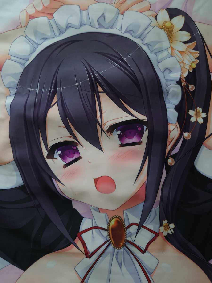 正規品 Saga Planets 花咲ワークススプリング ずっと 甘えたかったんだ 上月柑南 抱き枕カバー 有末つかさ 開封 抱き枕 売買されたオークション情報 Yahooの商品情報をアーカイブ公開 オークファン Aucfan Com