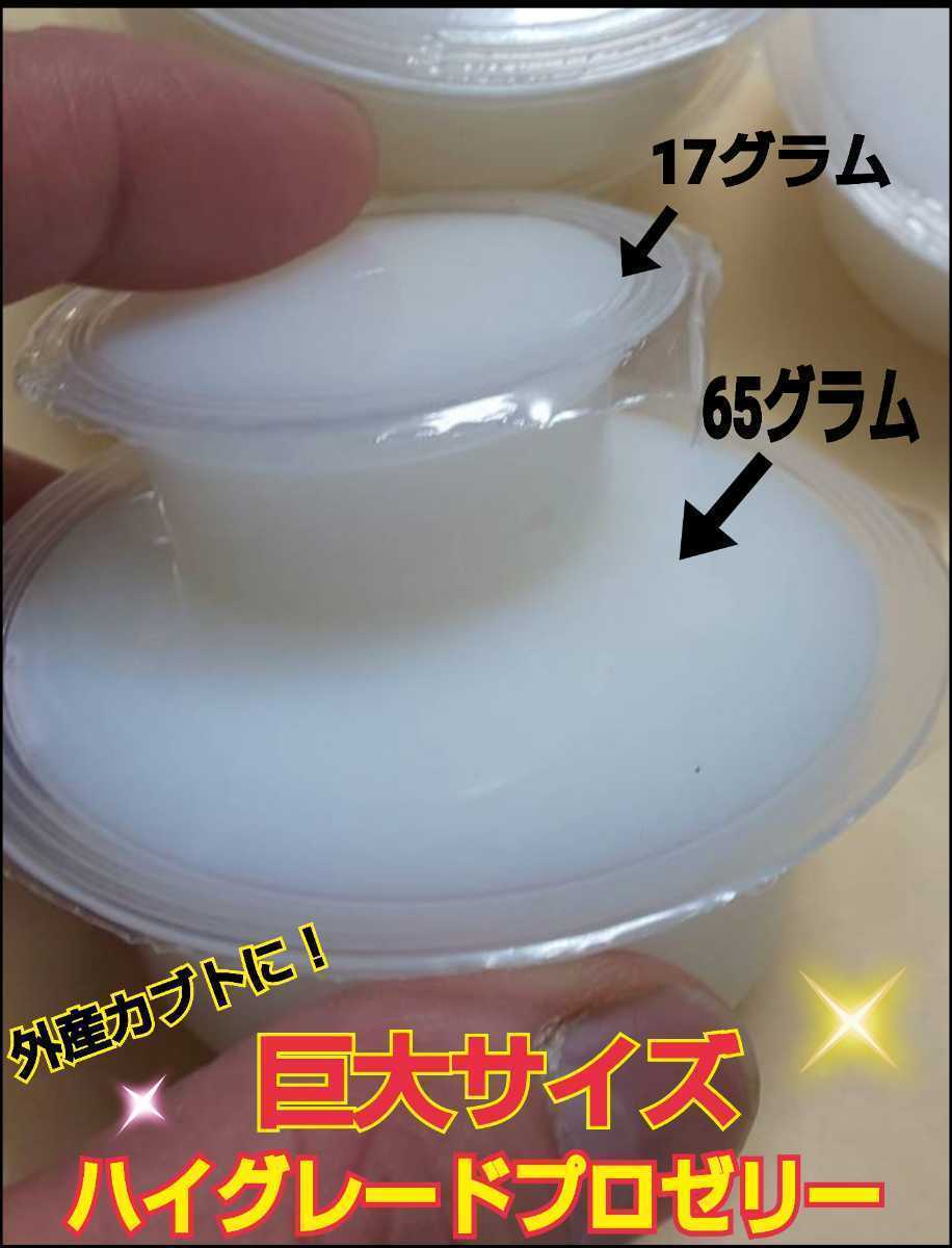 65グラム超ビックサイズ!ハイグレードプロゼリー☆特大200個☆成分に拘わり抜いた最高峰!産卵促進・長寿・体力増進に!トレハロース増量