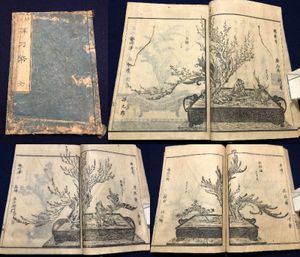 未生流 未生のYahoo!オークション(旧ヤフオク!)の相場・価格を見る