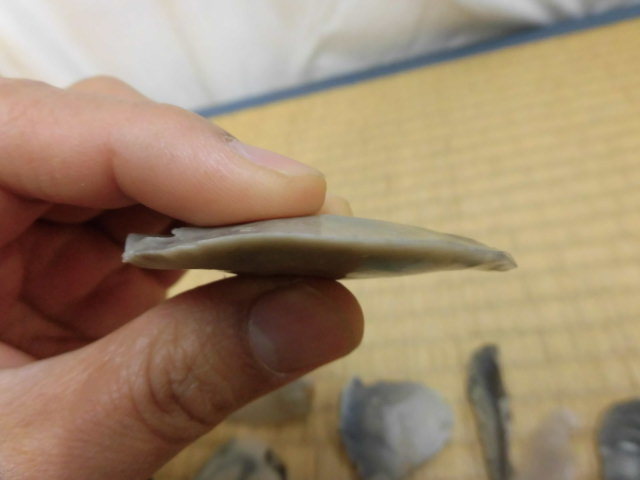 ナイフ形石器・細石器とは？種類・使い方・違いをわかりやすく | - 猪