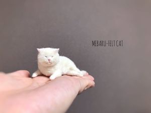 羊毛フェルト 猫のヤフオク!の相場・価格を見る｜ヤフオク!の羊毛 