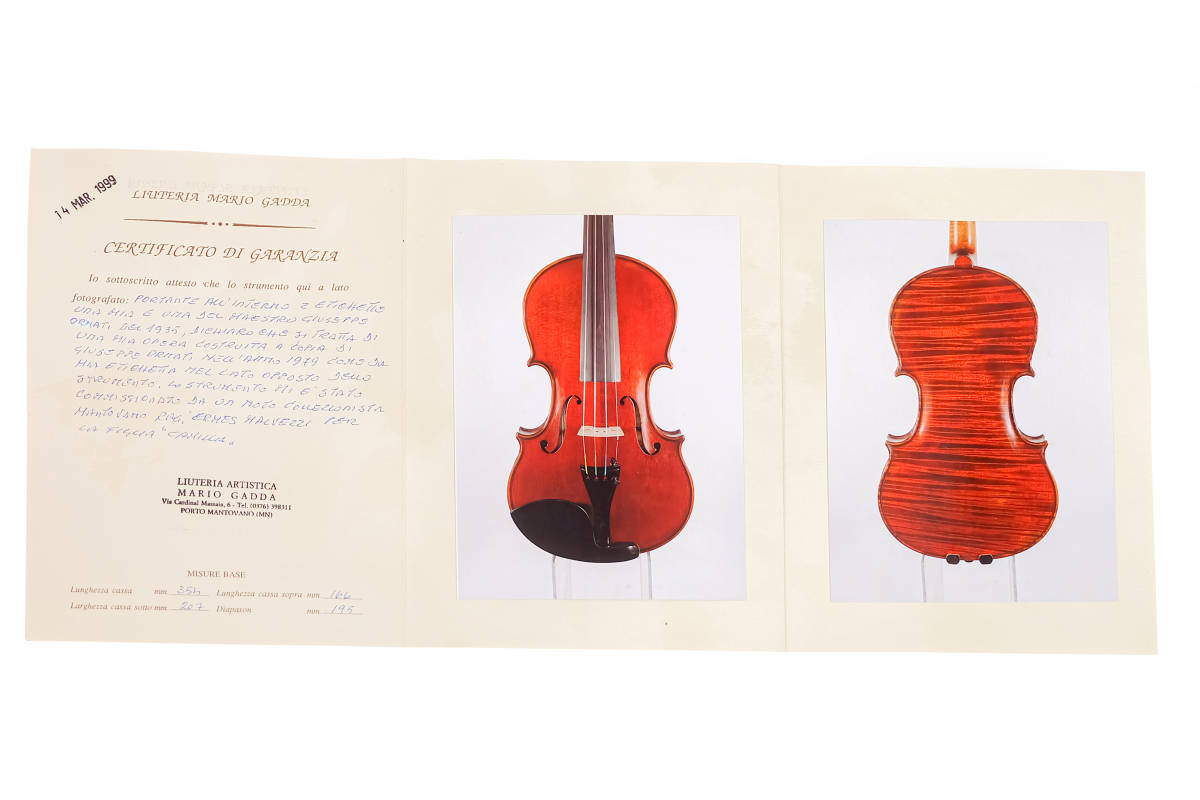 【500万円以上】製作証明書付き マリオ ガッダ Mario Gadda 1979年 イタリア モダン イタリアン バイオリン 真作 本物 Mantova マントヴァ_6