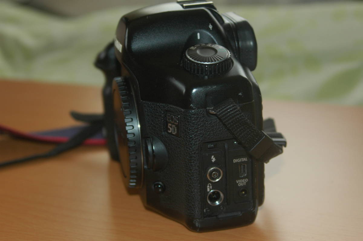 Canon EOS 5D（初代）ボディ＋バッテリーグリップ（BG-E4）_2