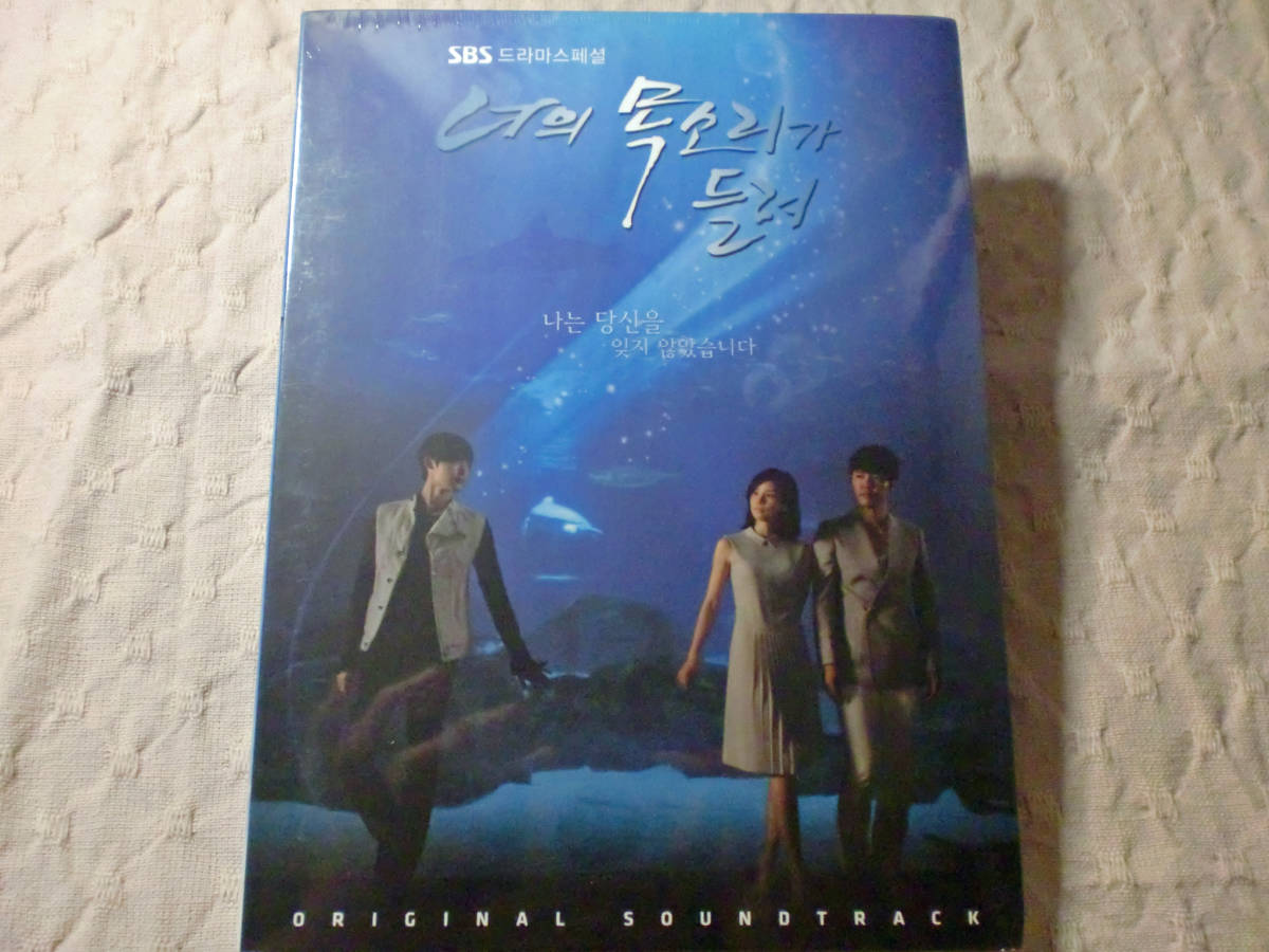 君の声が聞こえる 韓国ドラマ イ・ボヨン⁄イ・ジョンソク 君の声が 