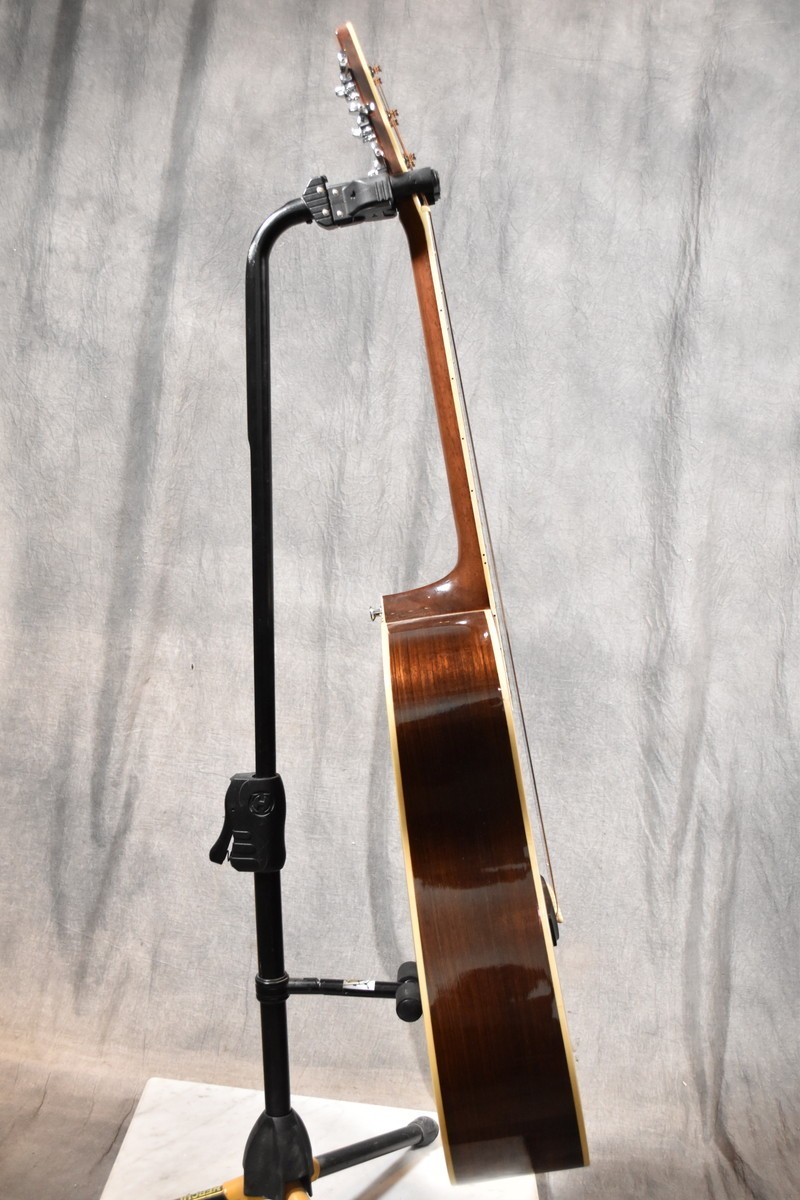 ProMartin EA350BS エレアコ Pro Martin エレアコギター EA350BSの買取