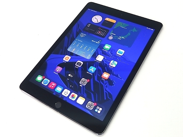 動作良好 iPad Air 2 16GB MGGX2J/A ドコモ判定◯ i15994 60サイズ発送