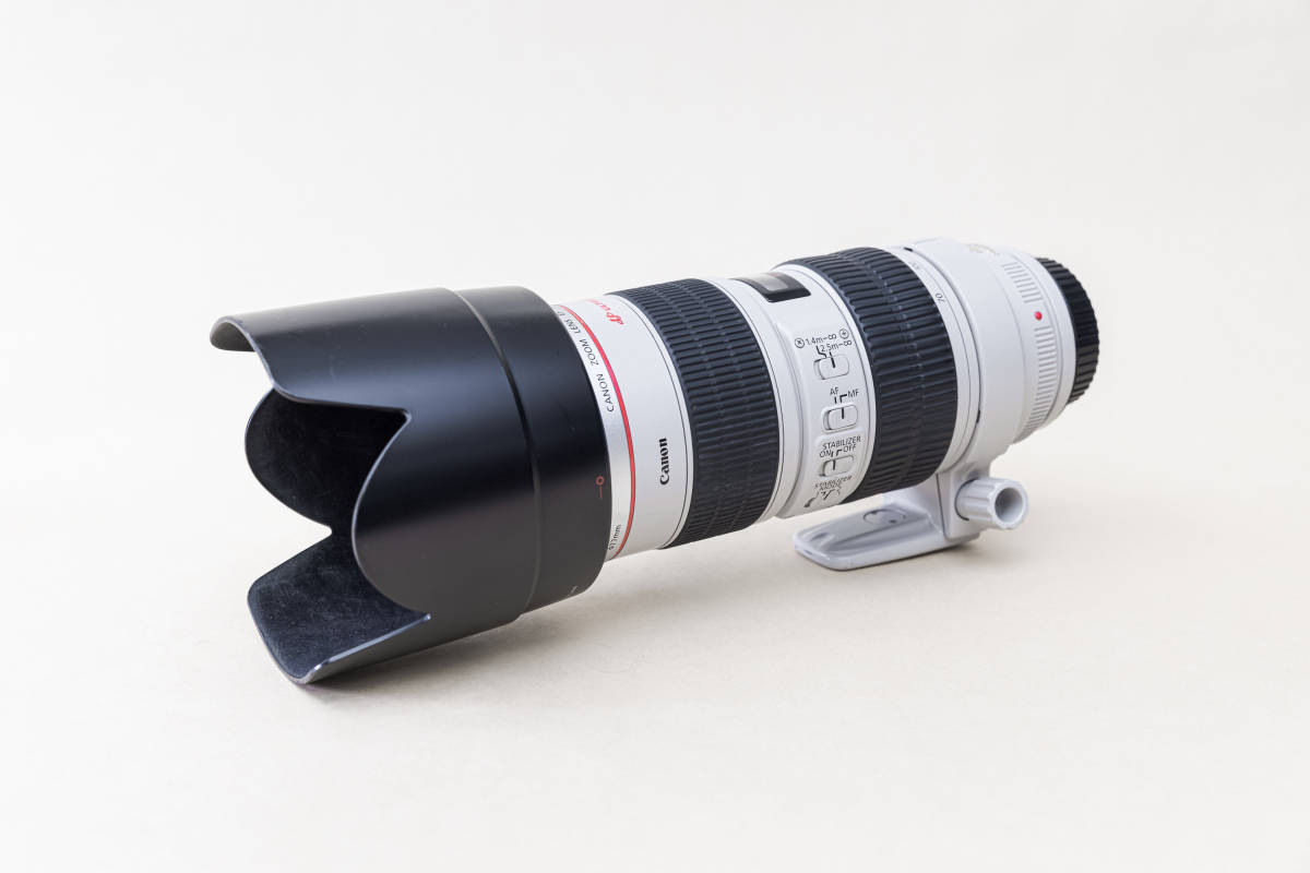 キヤノン Efレンズ Ef70 0mm F2 8l Is Usm ポートレート撮影などに 背景キレイにボケます キヤノン 売買されたオークション情報 Yahooの商品情報をアーカイブ公開 オークファン Aucfan Com キヤノン Efレンズ Ef70 0mm F2 8l Is Usm ポートレート撮影などに 背景キレイにボケます キヤノン 売買されたオークション情報 Yahooの商品情報をアーカイブ公開 オークファン Aucfan Com