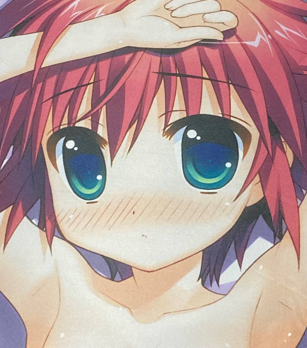 R 15 鳴唐吹音抱き枕カバー 正規品 藤真拓哉 Essentia 抱き枕 売買されたオークション情報 Yahooの商品情報をアーカイブ公開 オークファン Aucfan Com