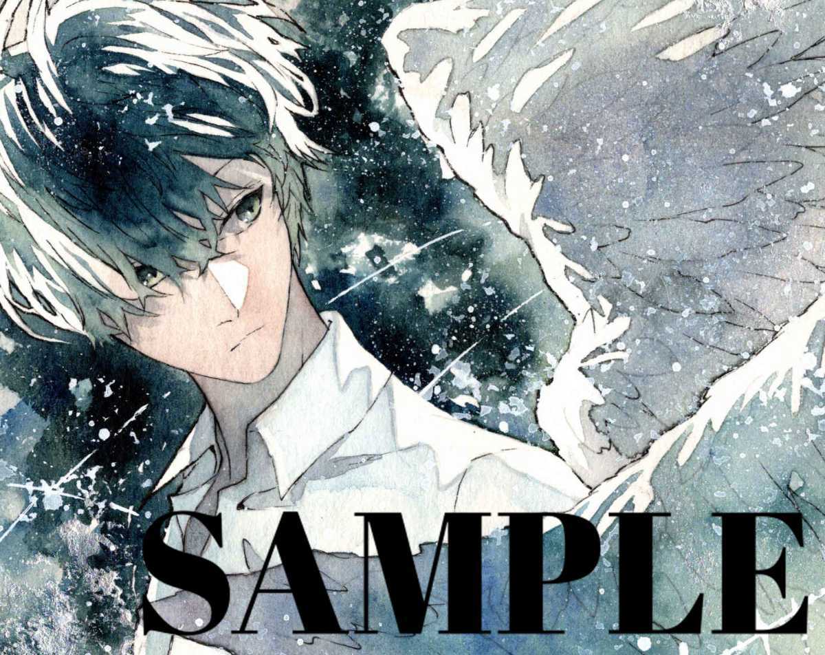 オリジナル 手描きイラスト 男の子 青年 片翼の案内人 B5 手描きイラスト 売買されたオークション情報 Yahooの商品情報をアーカイブ公開 オークファン Aucfan Com