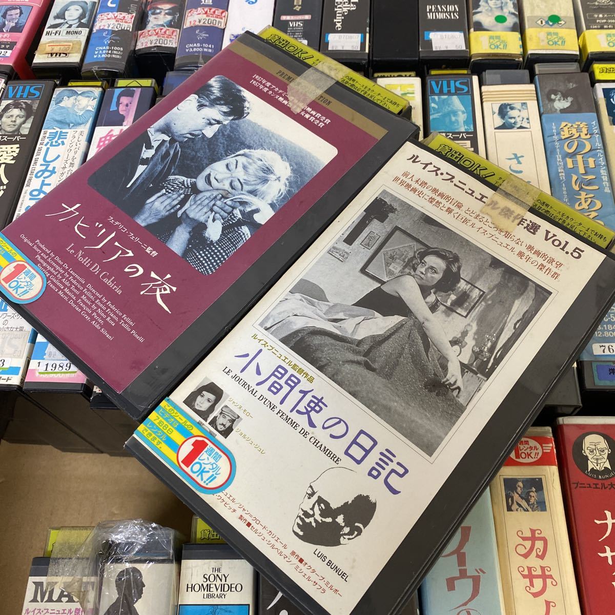 VHS ビデオテープ 大量まとめ売り 48点セット レンタル落ち ハムレット 