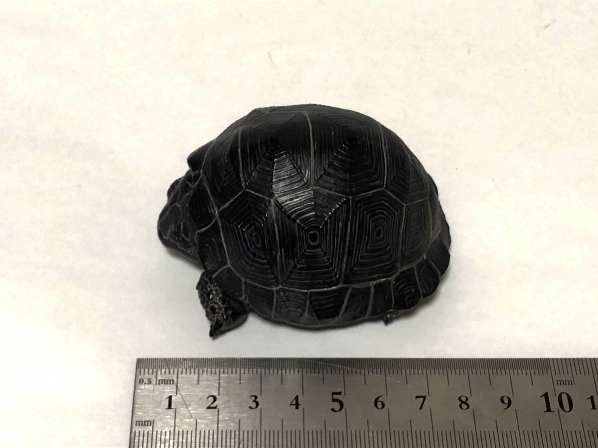  かわいい リクガメ フィギャア22 レジン製 ８ｃｍ(生き物)｜売買されたオークション情報、yahooの商品情報をアーカイブ公開 - オークファン 生き物