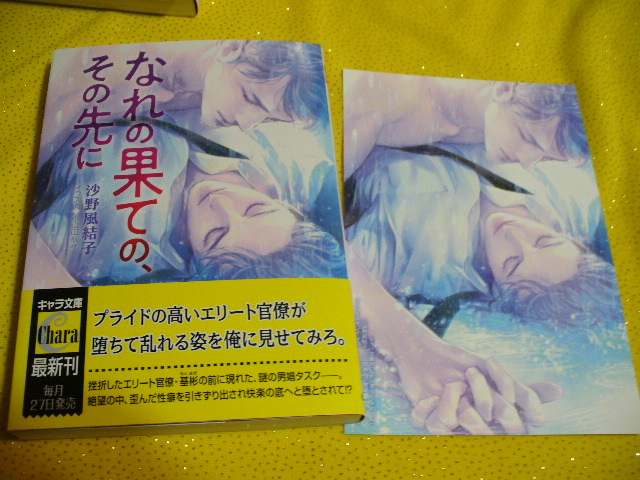 Bl小説 なれの果ての その先に 他 華麗