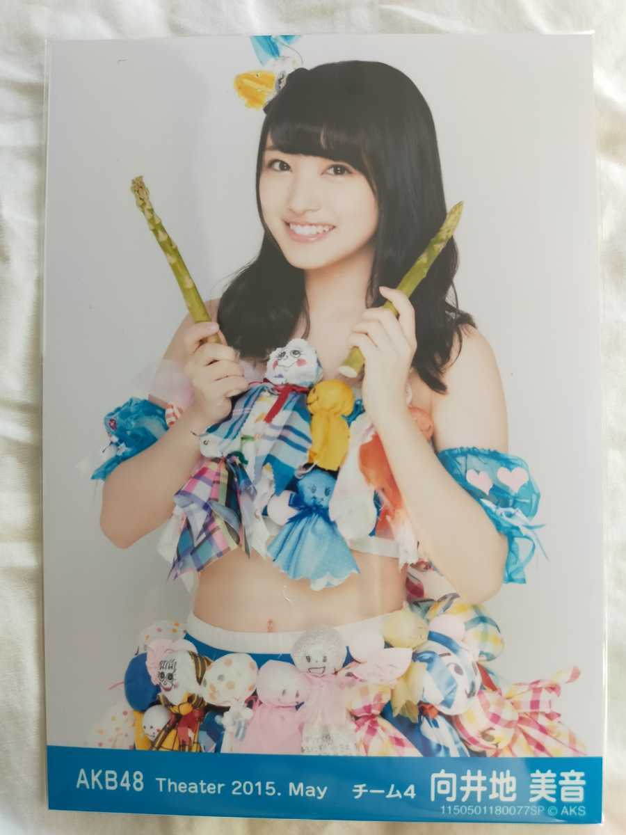AKB48 向井地美音 月別 劇場 トレーディング 生写真 共通ポーズ