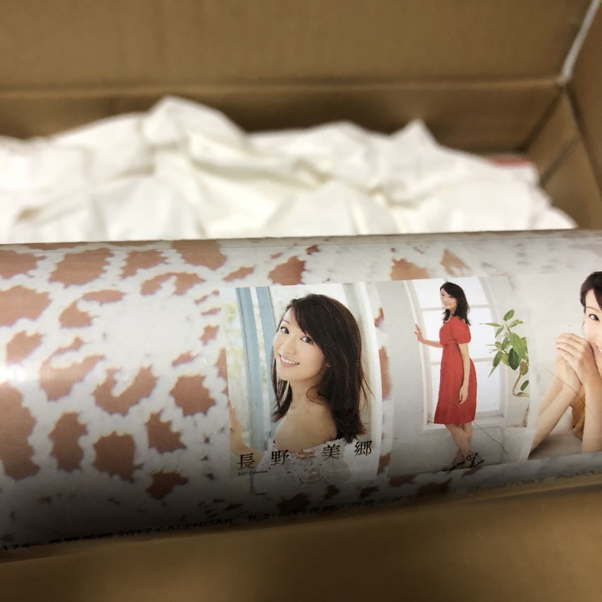 長野美郷 2017 カレンダー セントフォース CL-174の入札履歴 - 入札者