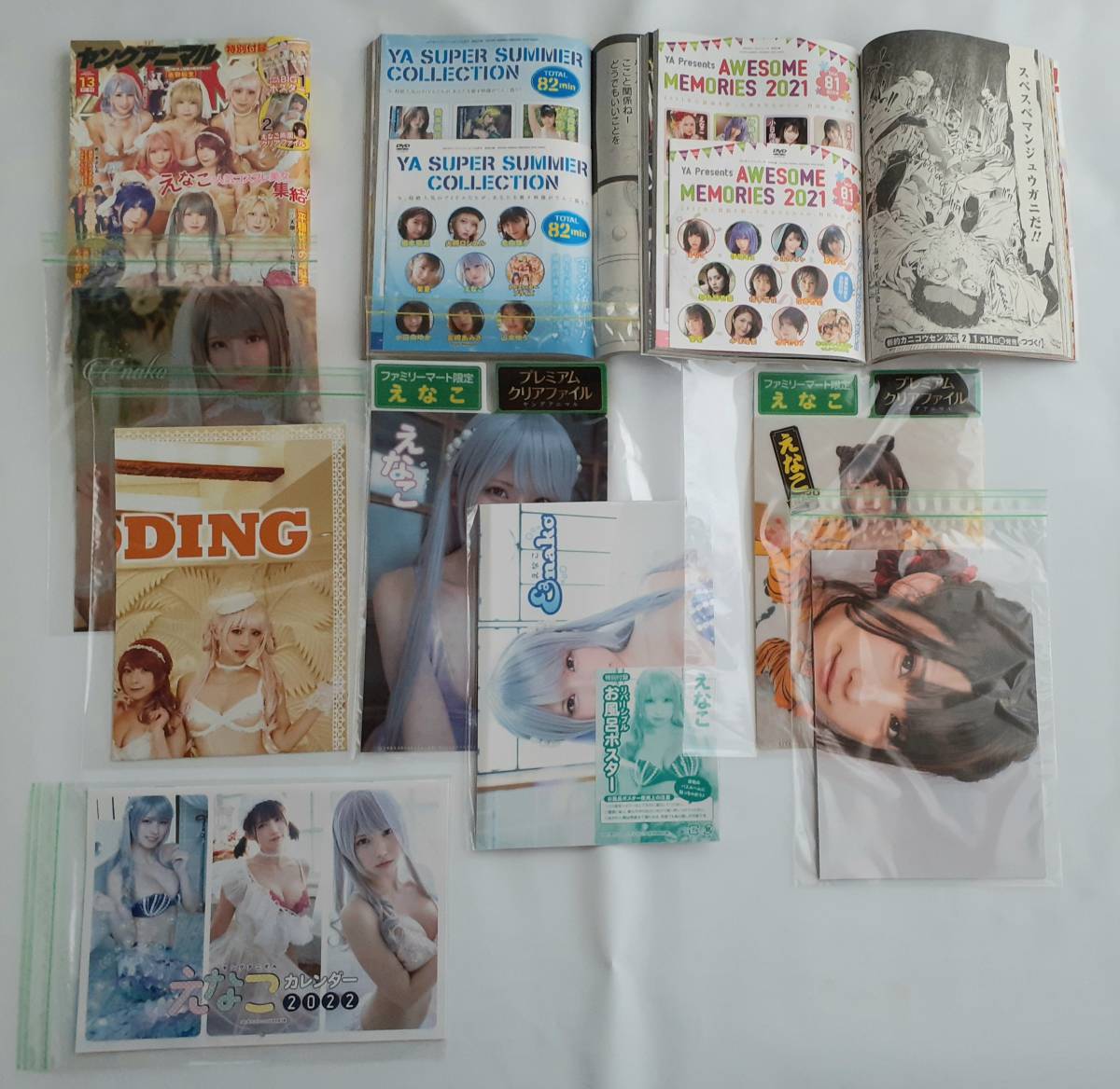 YOUNG CHAMPION 付録 アイドルクリアファイル 38冊 YOUNG CHAMPION 付録 アイドルクリアファイル 38冊