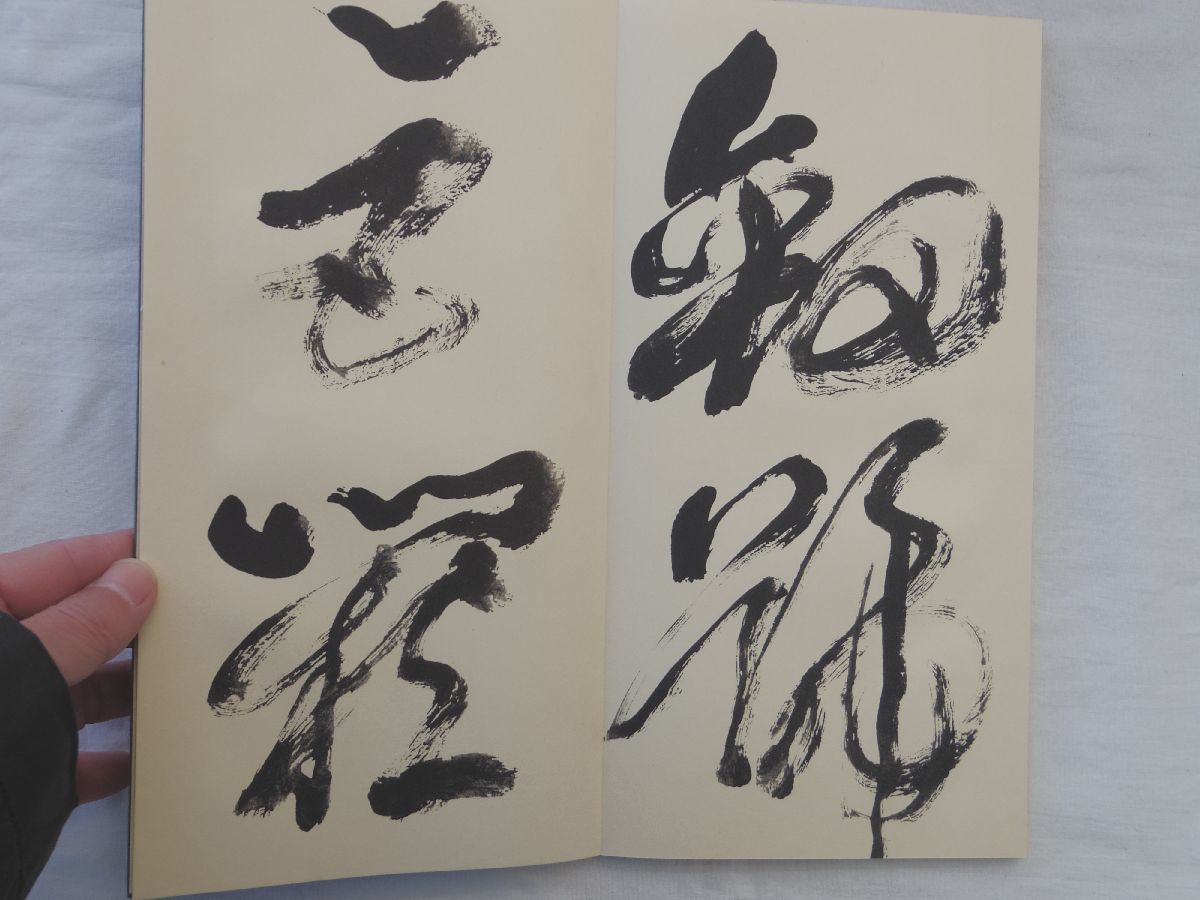 0031576 上田桑鳩臨 孫過庭草書千字文 上田桑鳩・臨書 木耳社 昭和43年 