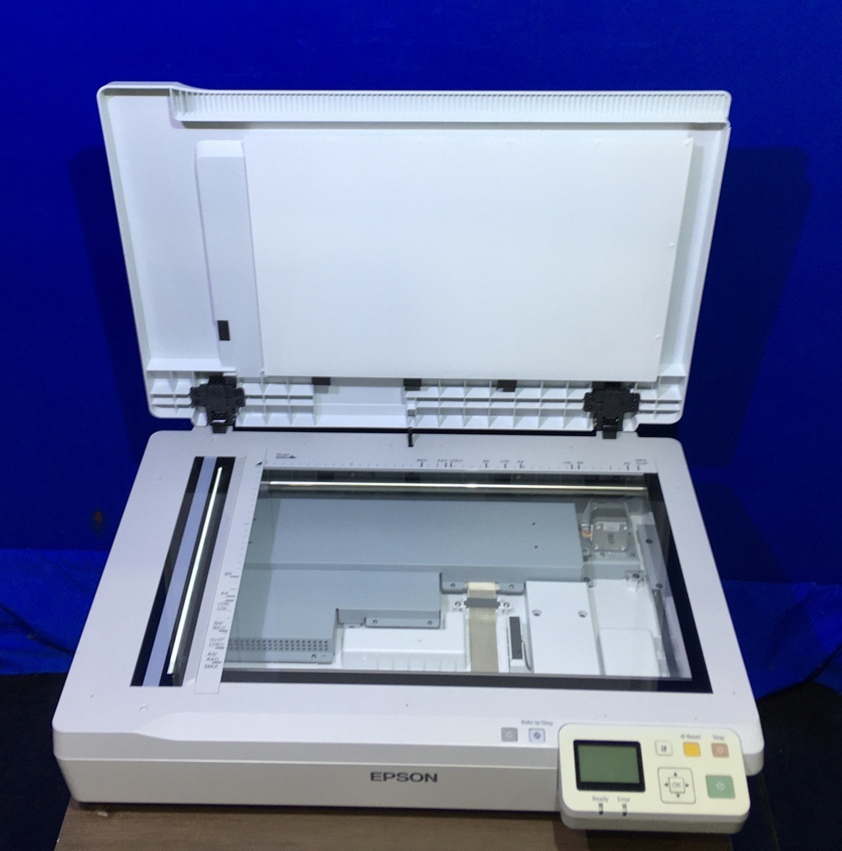 EPSON DS-50000 フラットベットスキャナー E711 A3ドキュメント
