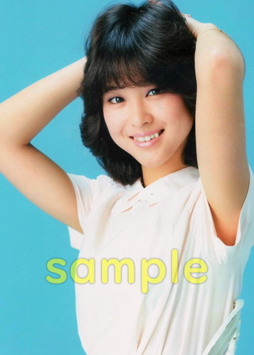 A 松田聖子 昭和アイドル L判 写真 50枚セット 超 の入札履歴 - 入札者