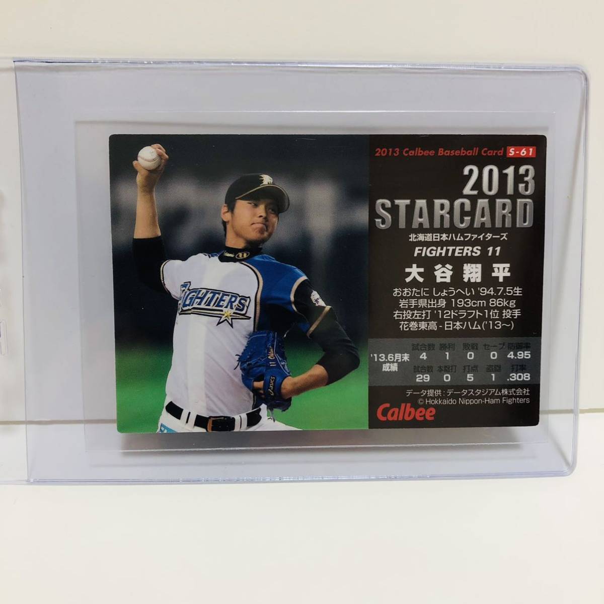 大谷翔平 2013 ルーキーカード 金箔 カルビー プロ野球チップス shohei 