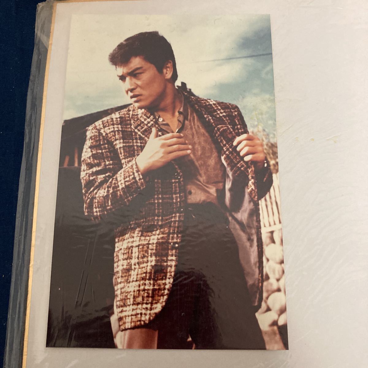 レア 赤木圭一郎 サイン色紙 プロマイド 写真 映画 俳優 歌手 第三の男 トニー クールガイ 和製ジェームズディーン 昭和レトロ サイン 売買されたオークション情報 Yahooの商品情報をアーカイブ公開 オークファン Aucfan Com