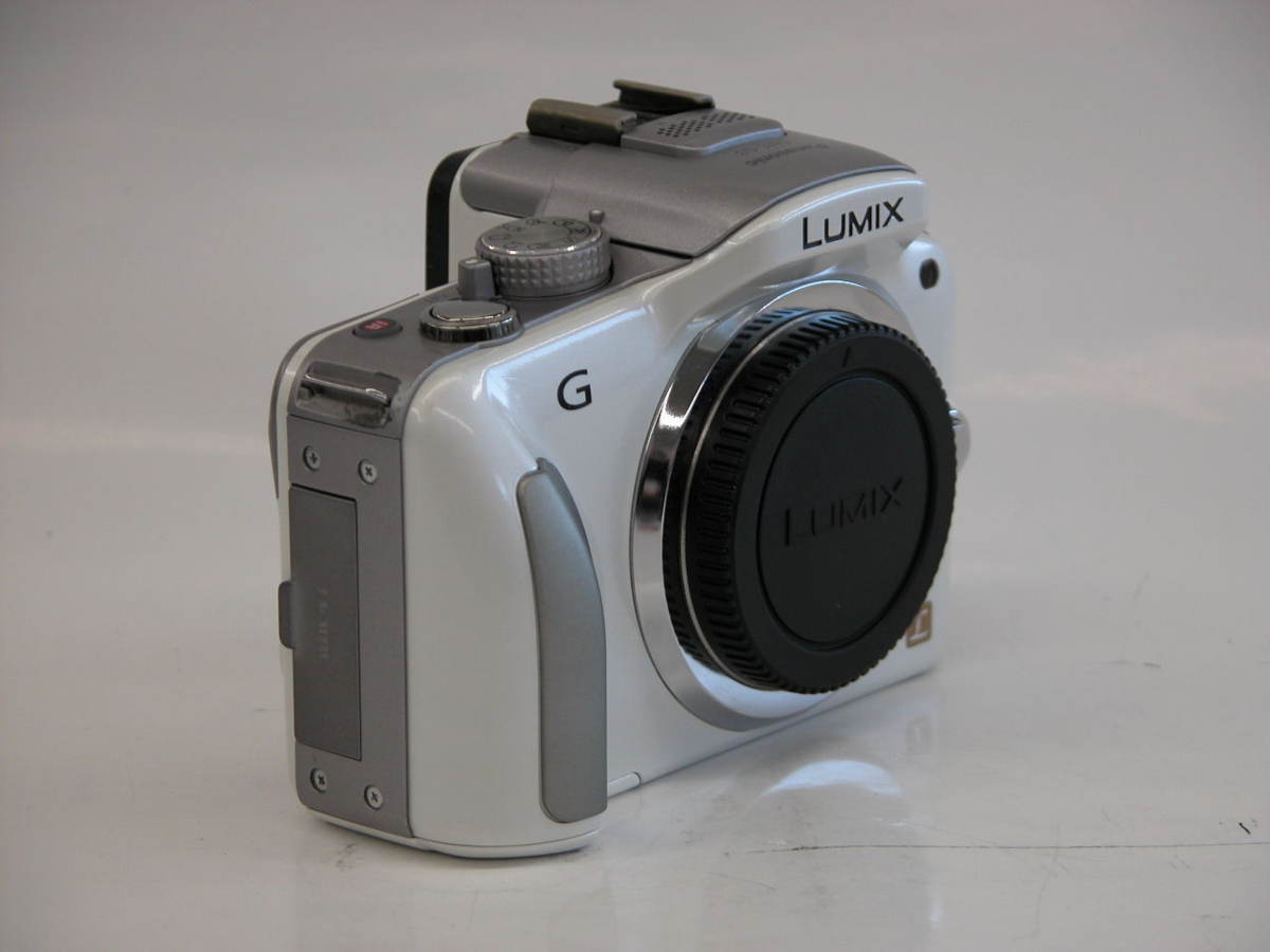 LUMIX DMC-G3 Panasonic F カメラ、光学機器 ブラウン ★☆ルミックス G3☆★