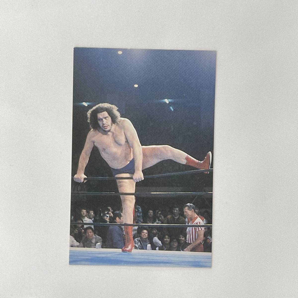 1397381】ポピー製 アンドレ・ザ・ジャイアント（新日本プロレス