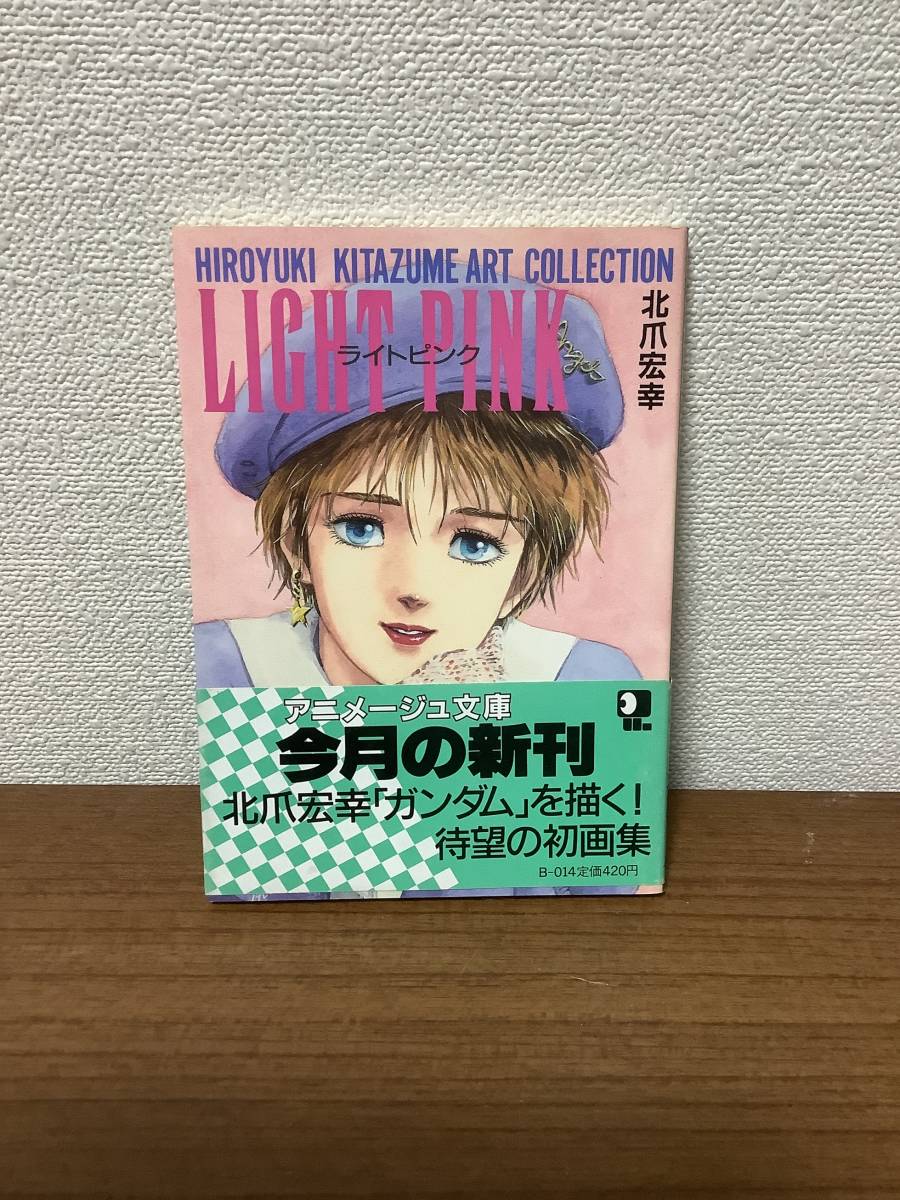 一度だけ出品】ライトピンク 北爪宏幸アートコレクション 初版、美品  