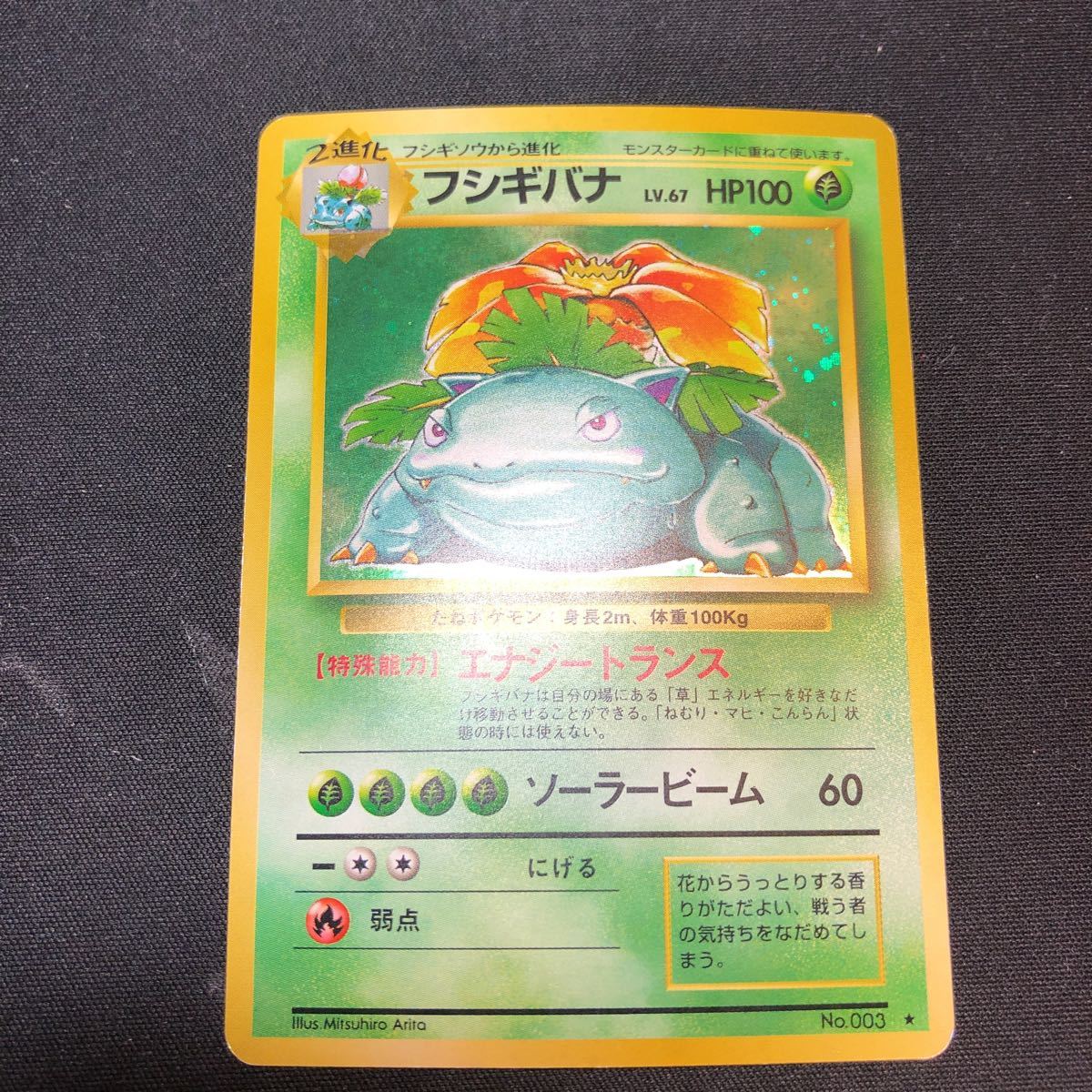 旧裏面 フシギバナ マークあり ホイル レア キラ ポケモンカードゲーム