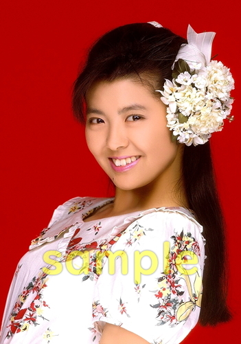 ◇◇◇ A 南野陽子 スケバン刑事 昭和アイドル L判 写真 50枚セット 超