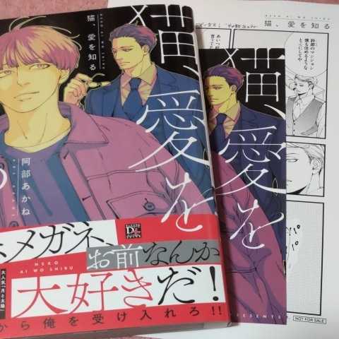 ☆猫、愛を知る コミコミ特典（リーフレット&ペーパー）付☆阿部あかね 
